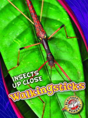 cover image of Walkingsticks